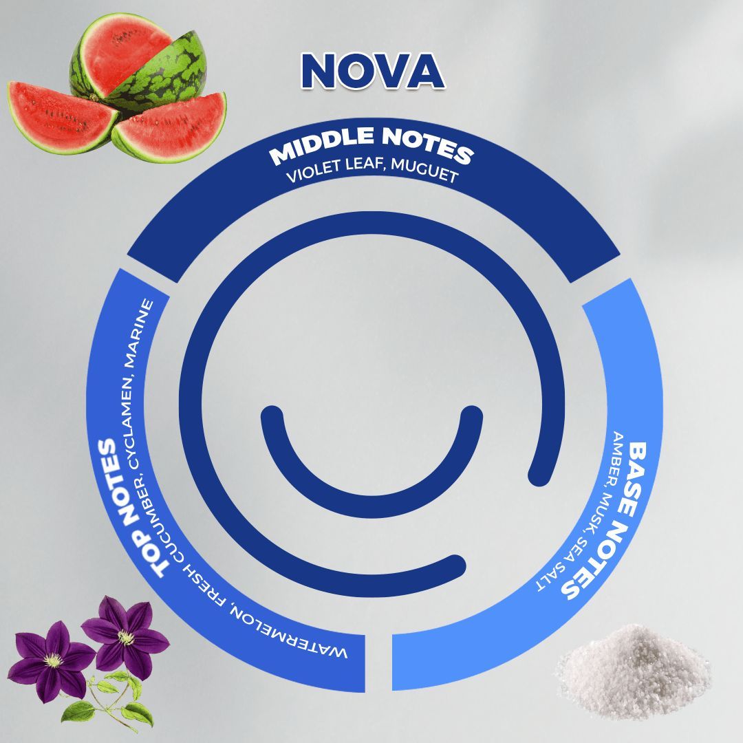 زيت عطر نوڤا